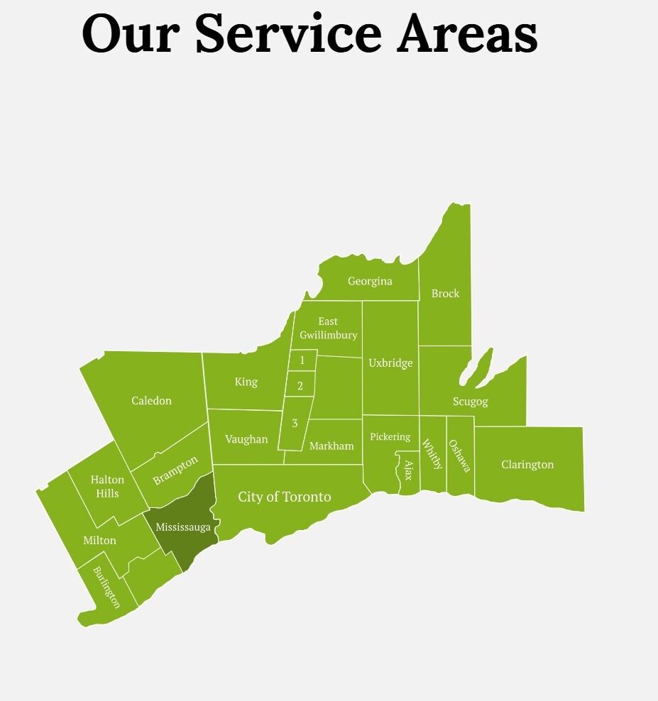 Screenshot 2024-12-23 021347